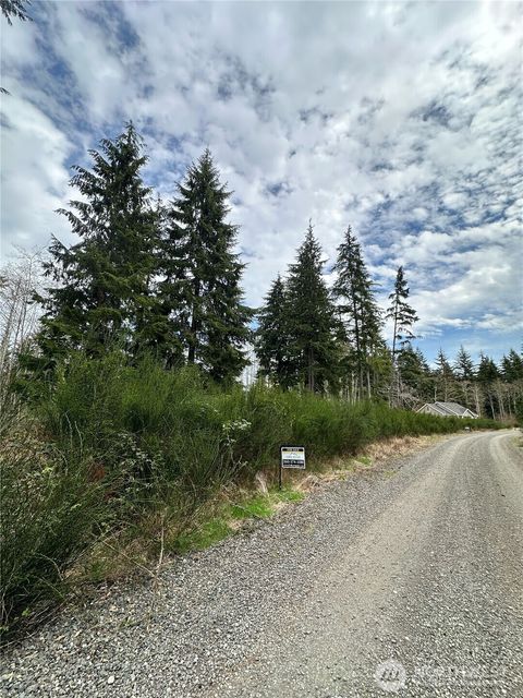 Photo of 9945 Thomas Street, Forks, WA 98331 (MLS # 2505367)