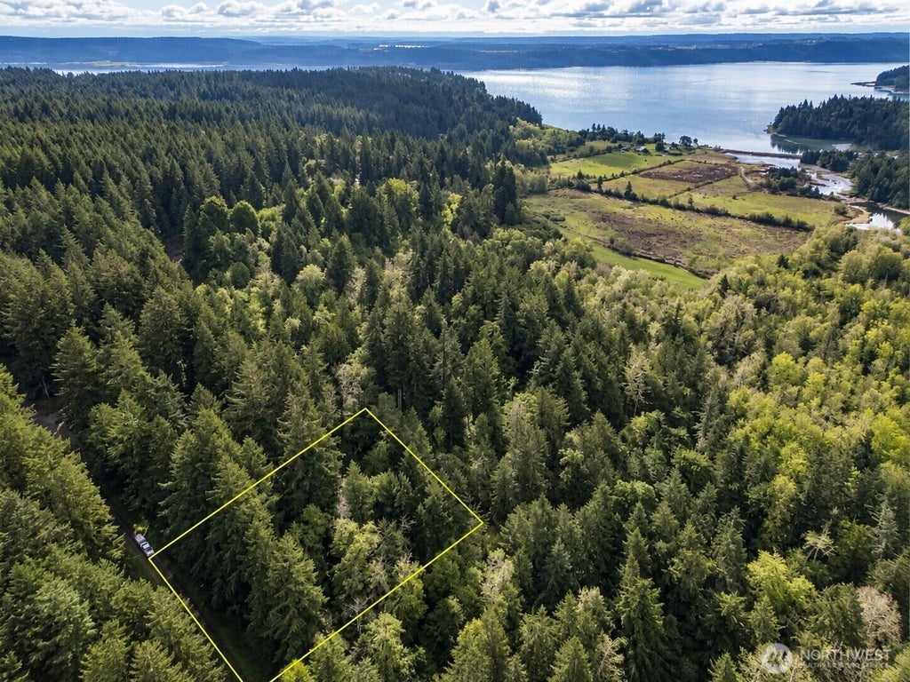 Photo of 12204 Sound Drive, Anderson Island, WA 98303 (MLS # 2580818)