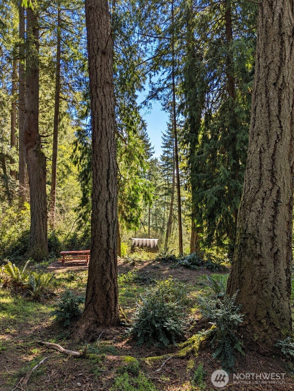Photo of 12204 Sound Drive, Anderson Island, WA 98303 (MLS # 2580818)