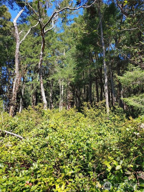 10419 Riviera Drive Anderson Island WA 98303