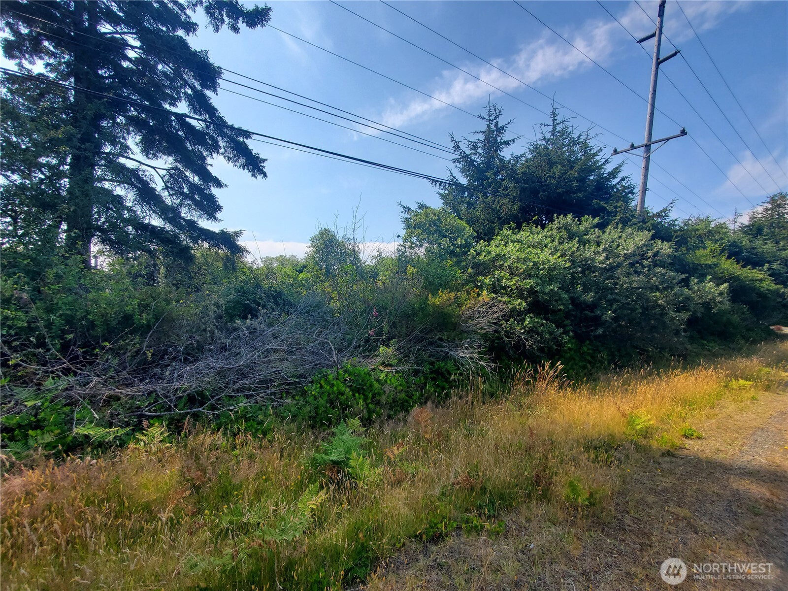 561 Dolphin Avenue NE