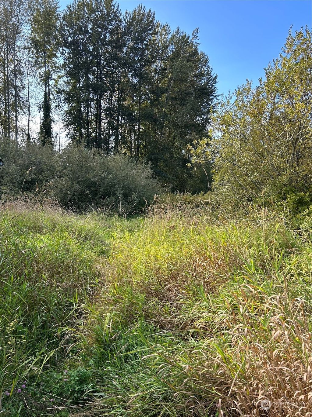 Photo of 2202 Hartford Drive, Lake Stevens, WA 98258 (MLS # 2162819)