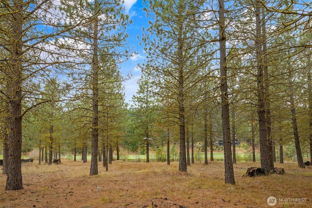 Photo of 36 Southern Star Lane, Cle Elum, WA 98922 (MLS # 2451683)