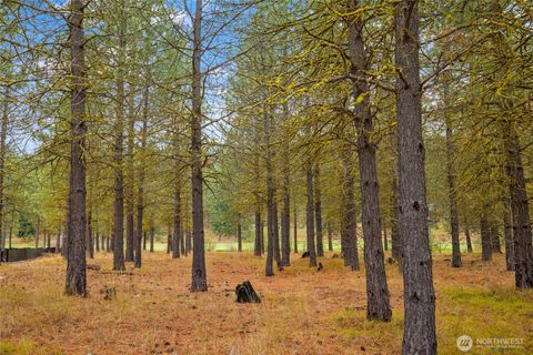 Photo of 36 Southern Star Lane, Cle Elum, WA 98922 (MLS # 2451683)