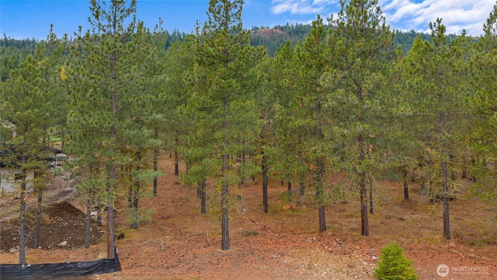 Photo of 36 Southern Star Lane, Cle Elum, WA 98922 (MLS # 2451683)