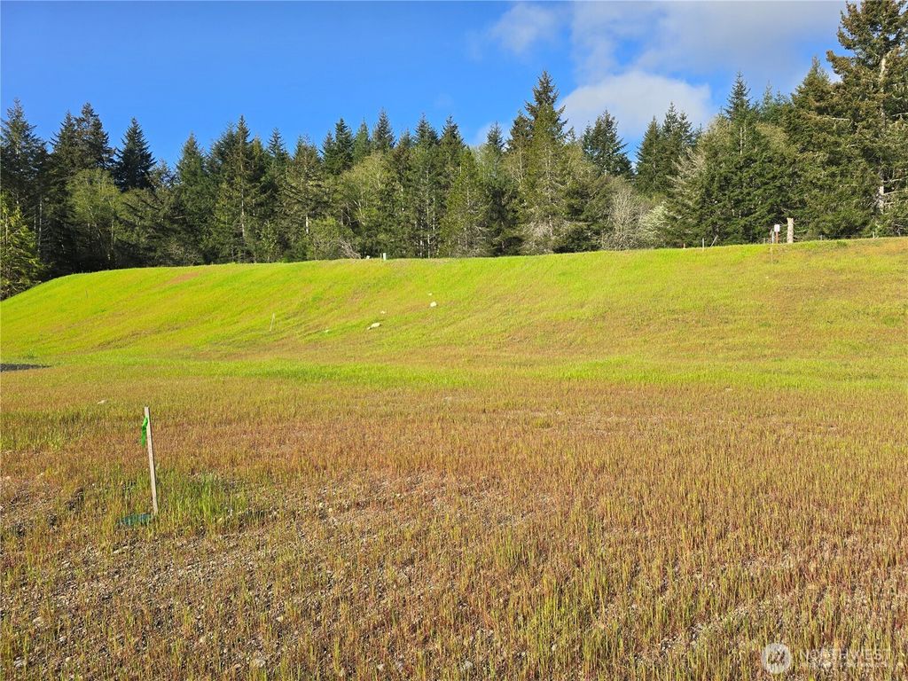 Photo of 41 E Virgil Drive W, Allyn, WA 98524 (MLS # 2513717)