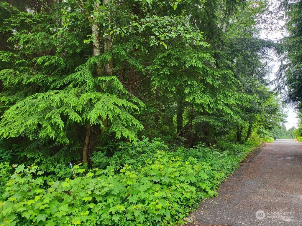 Photo of 0 XXXX 89th Street SE, Snohomish, WA 98290 (MLS # 2147928)