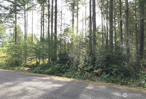 11507 Lake Josephine Avenue Anderson Island WA 98303