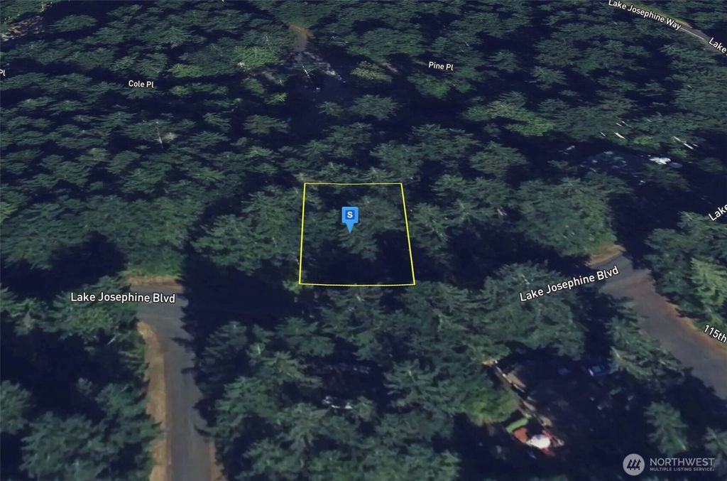 Photo of 11507 Lake Josephine Avenue, Anderson Island, WA 98303 (MLS # 2442775)