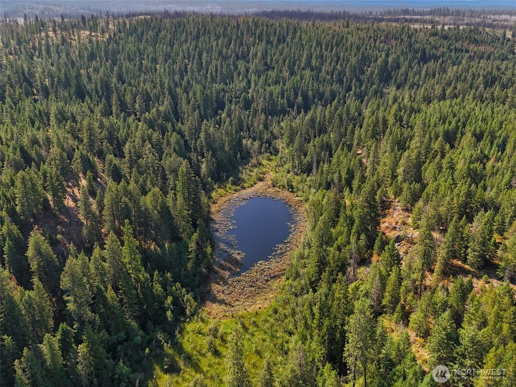 listing image 9364502672001572865