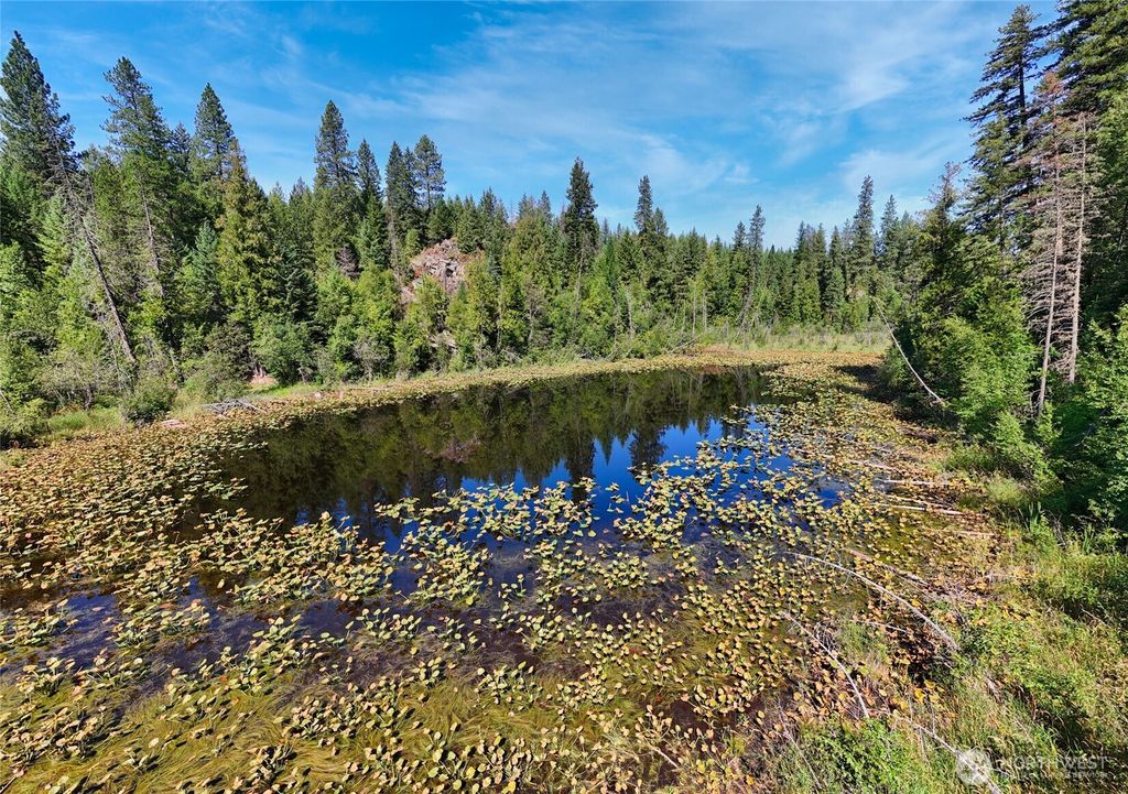 listing image 9366879007352949590