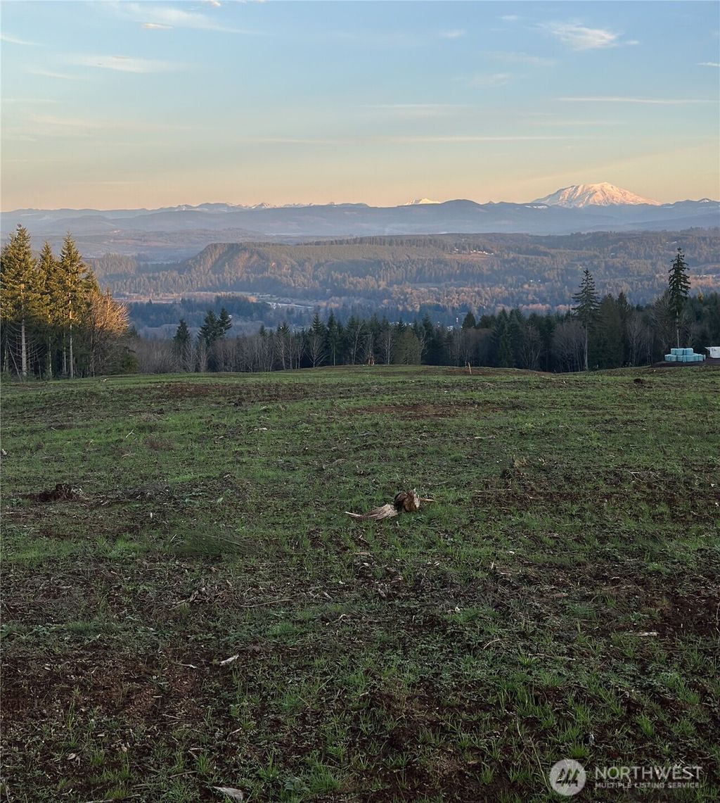 Photo of 224 Suncrest Drive, Castle Rock, WA 98611 (MLS # 2468040)