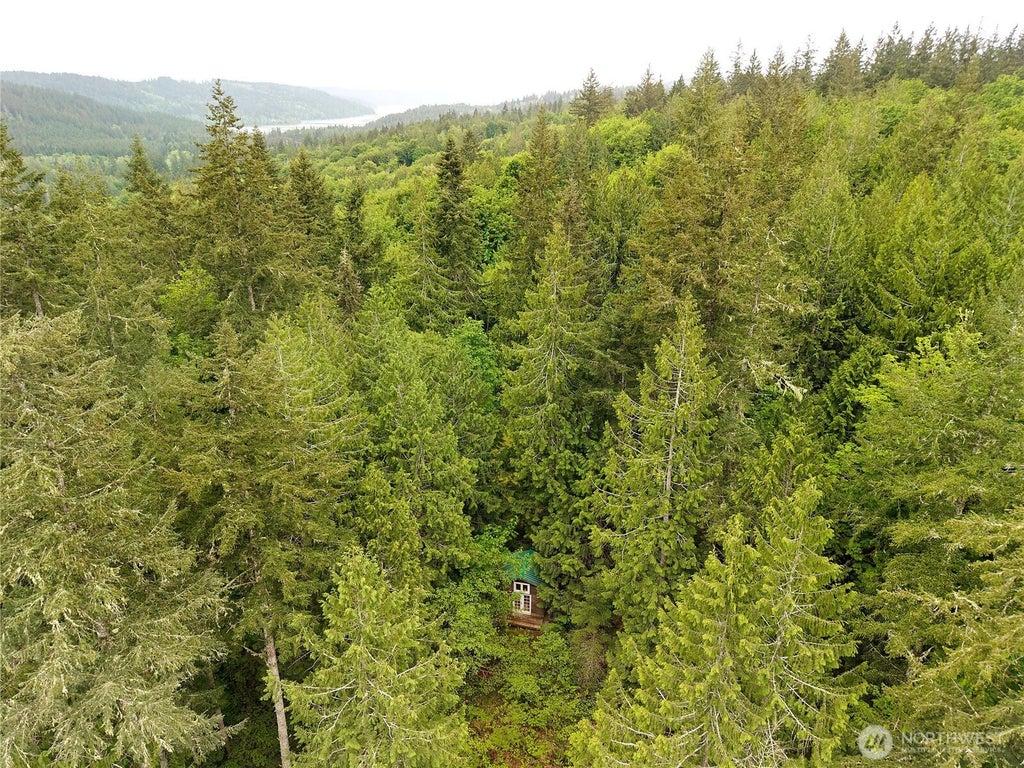 Photo of 0 Taison Lane, Quilcene, WA 98376 (MLS # 2584240)