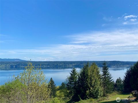 Photo of 835 Pollock Drive, Brinnon, WA 98320 (MLS # 2509531)