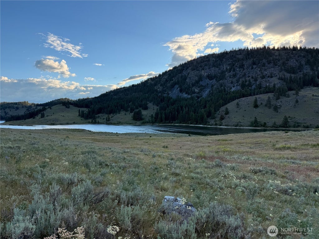Photo of 0 Chopaka Mountain Rd., Loomis, WA 98827 (MLS # 2588112)