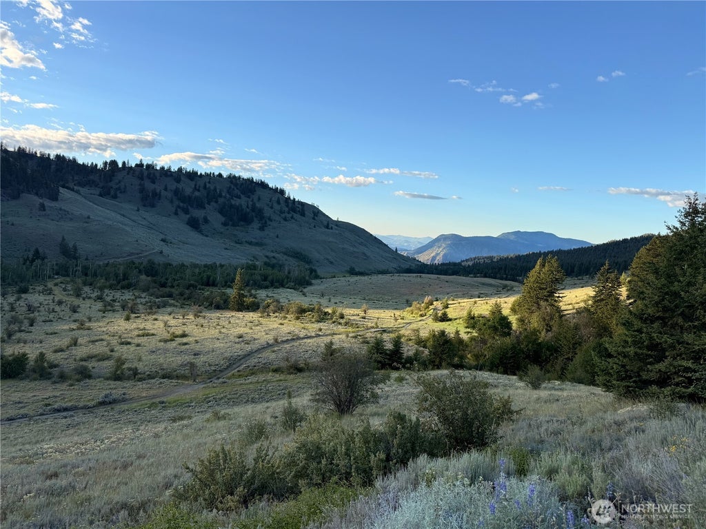Photo of 0 Chopaka Mountain Rd., Loomis, WA 98827 (MLS # 2588112)