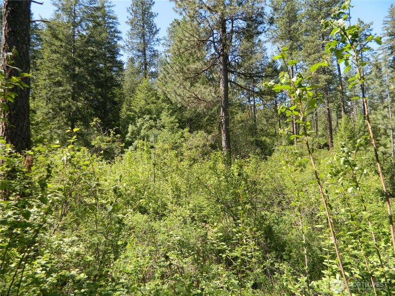 0 Tbd Murphy Ranch Road