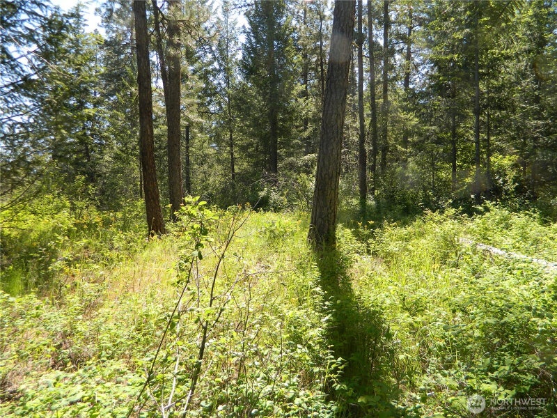 0 Tbd Murphy Ranch Road