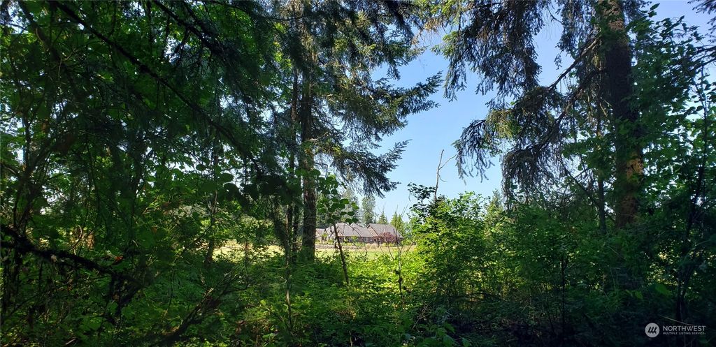 Photo of 332 XX 148th Avenue SE, Auburn, WA 98092 (MLS # 2072202)