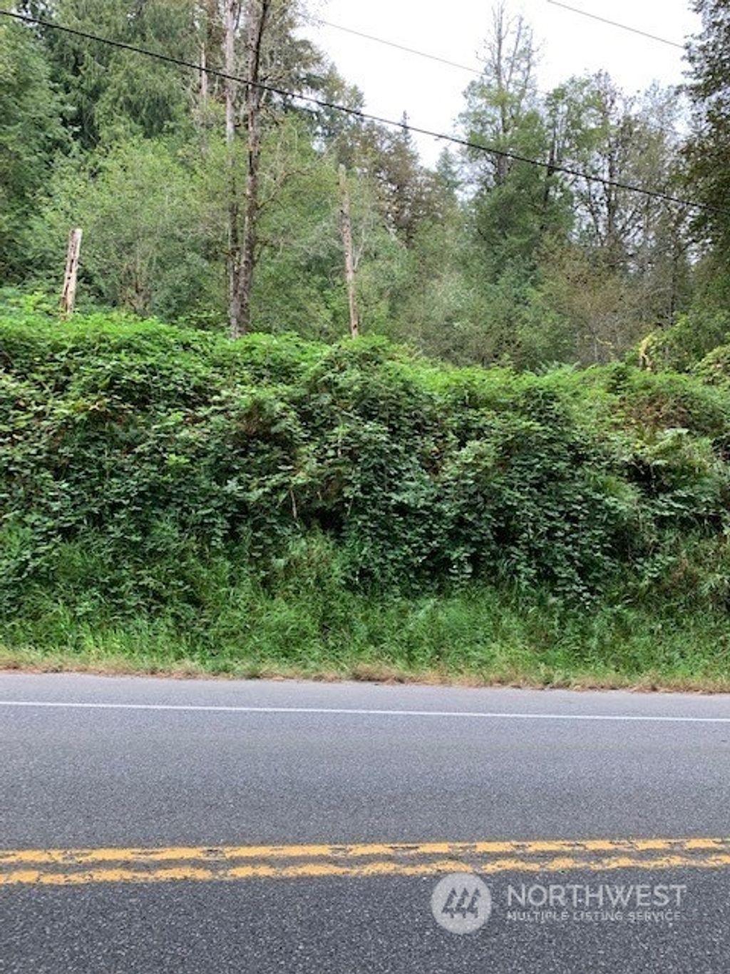 Photo of 73 xx Preston-Fall City Road SE, Preston, WA 98050 (MLS # 1997390)