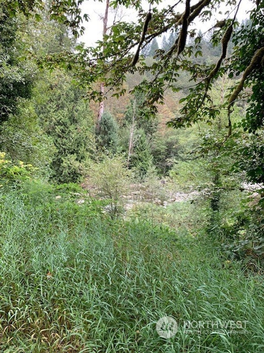 Photo of 73 xx Preston-Fall City Road SE, Preston, WA 98050 (MLS # 1997390)