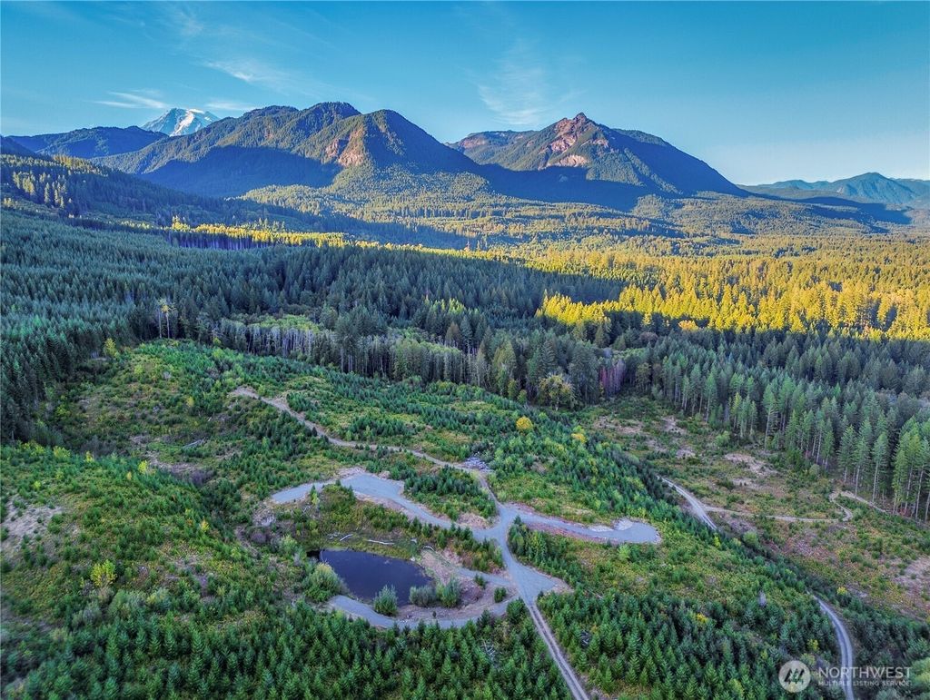 Photo of 294 Hardy Lane, Packwood, WA 98361 (MLS # 2500242)