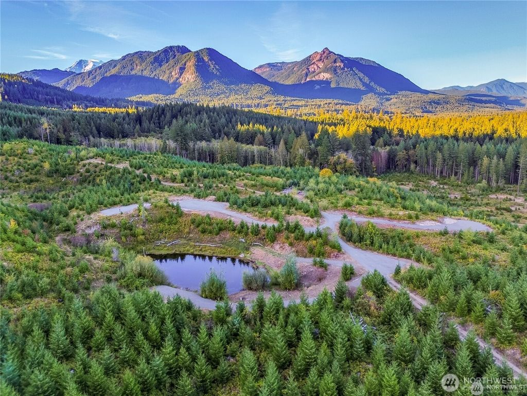 Photo of 294 Hardy Lane, Packwood, WA 98361 (MLS # 2500242)