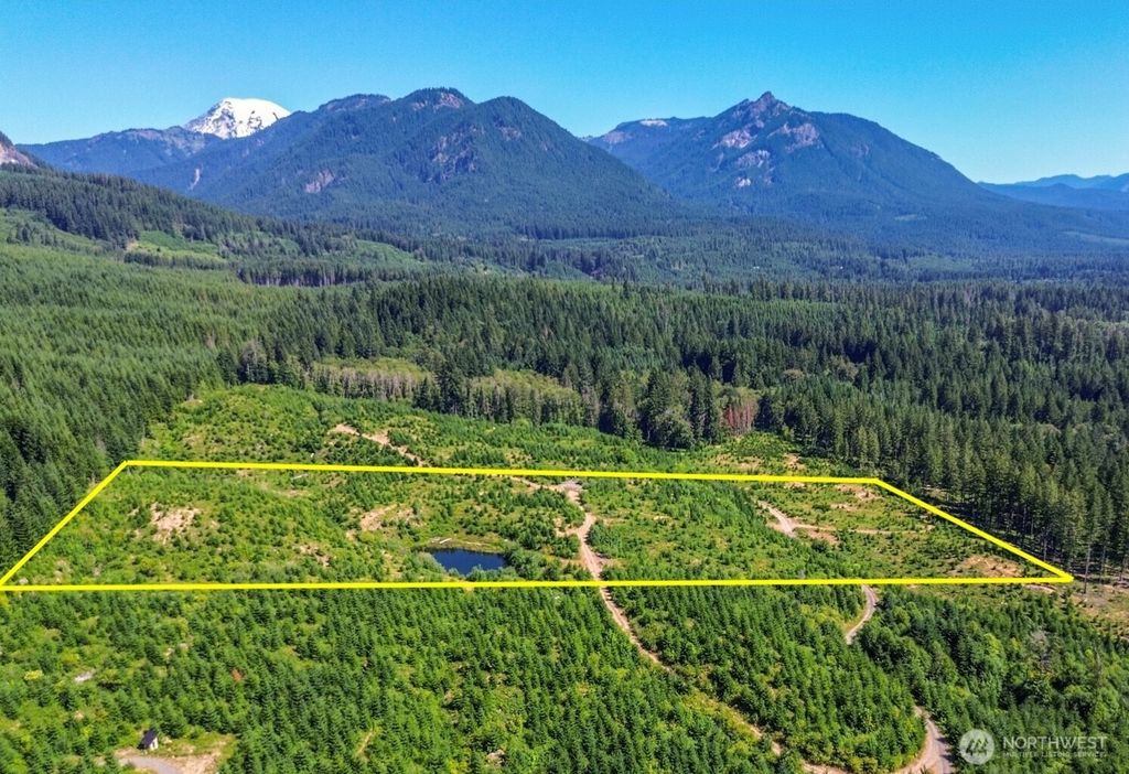 Photo of 294 Hardy Lane, Packwood, WA 98361 (MLS # 2500242)