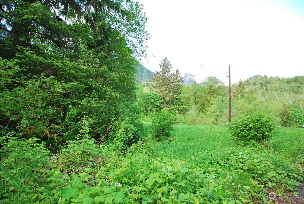 Photo of 49706 Mt Index River Road, Gold Bar, WA 98251 (MLS # 2269932)