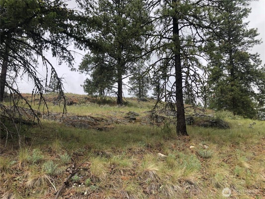 227 POINT DR, OROVILLE, WA 98844 - Image 4ebf1c3e82c9d734b2035dbd9b8a5a4a/4020487528
