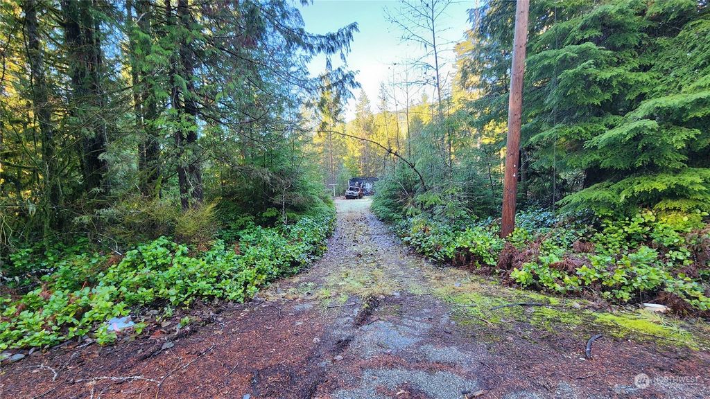 Photo of 47103 State Route 530 NE, Darrington, WA 98241 (MLS # 2186317)