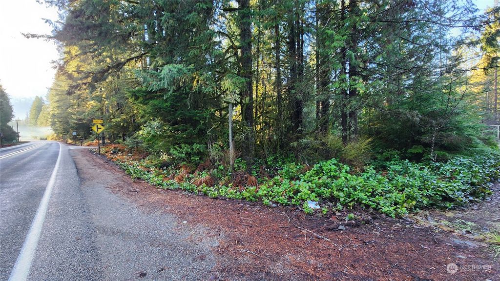 Photo of 47103 State Route 530 NE, Darrington, WA 98241 (MLS # 2186317)
