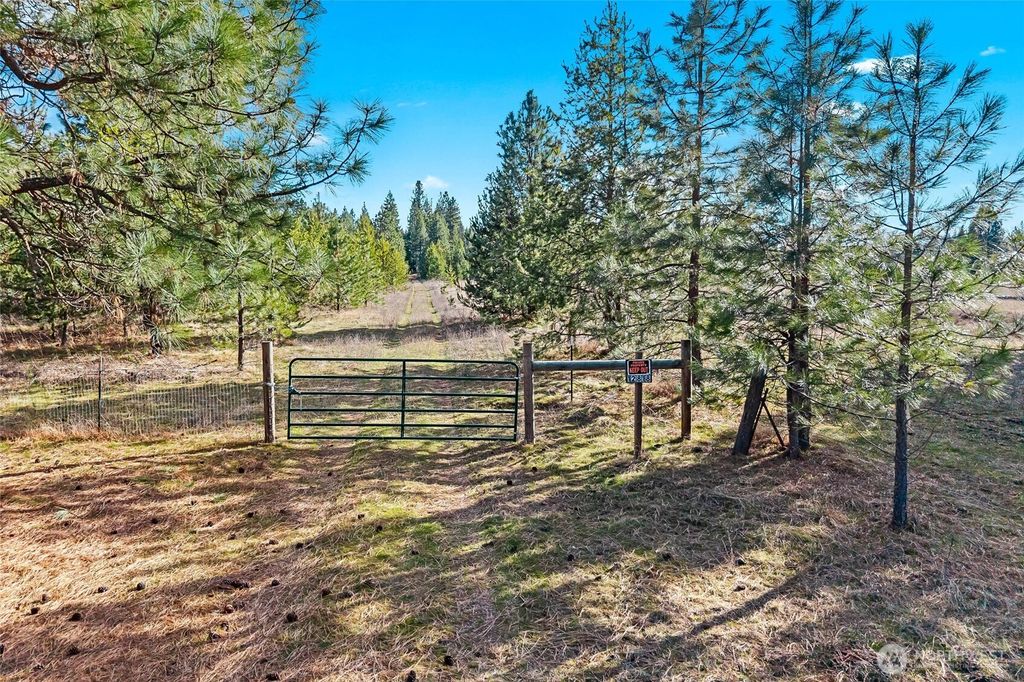 Photo of 12818 E Bridges Road, Elk, WA 99009 (MLS # 2492672)