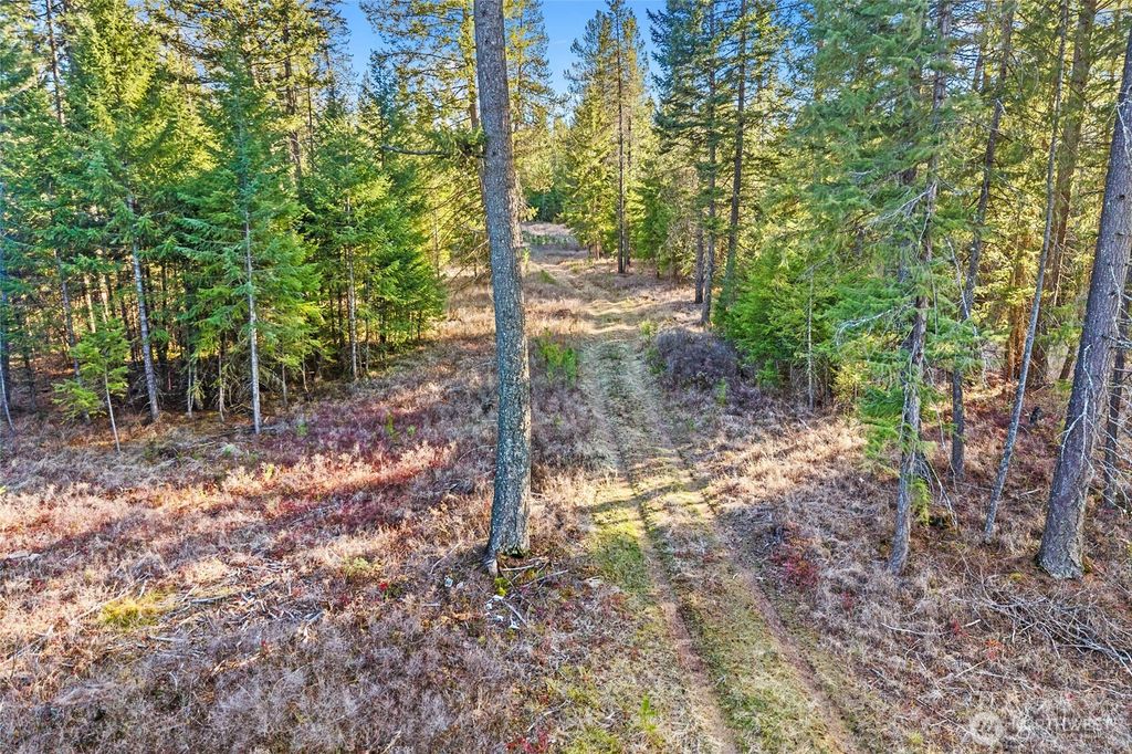 Photo of 12818 E Bridges Road, Elk, WA 99009 (MLS # 2492672)