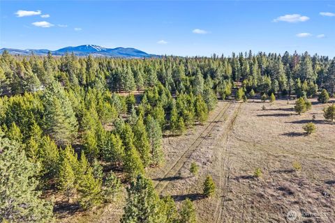Photo of 12818 E Bridges Road, Elk, WA 99009 (MLS # 2492672)