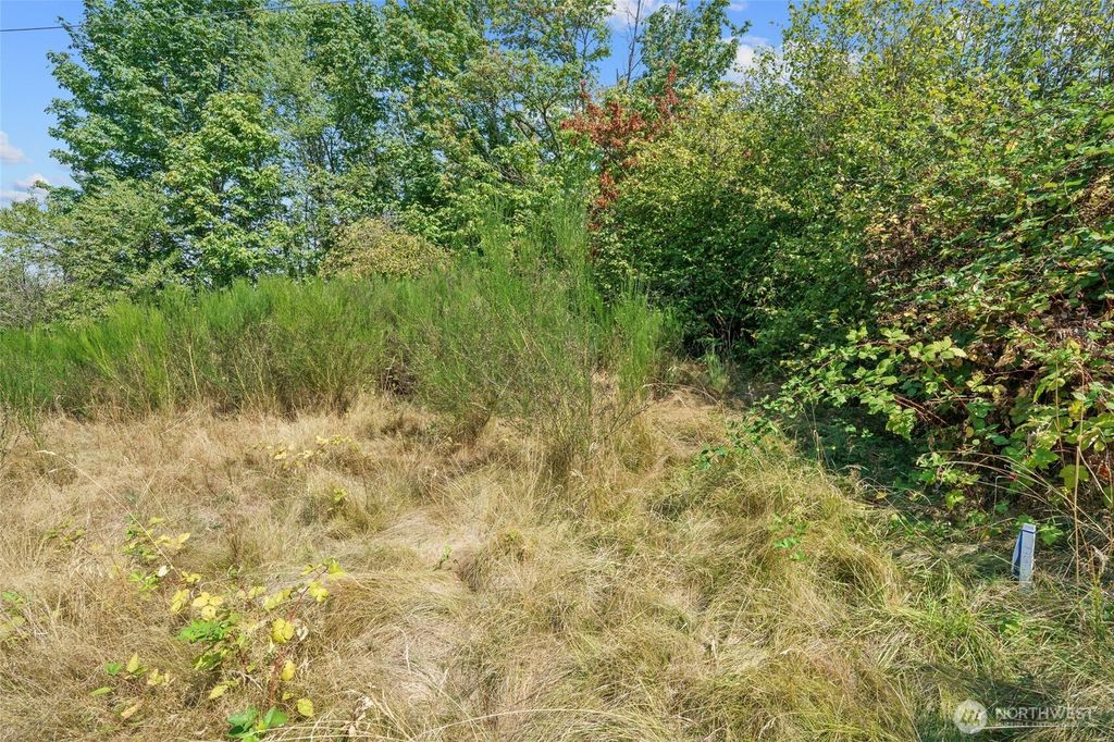 Photo of 1111 124th Avenue NE, Woodinville, WA 98072 (MLS # 2426621)
