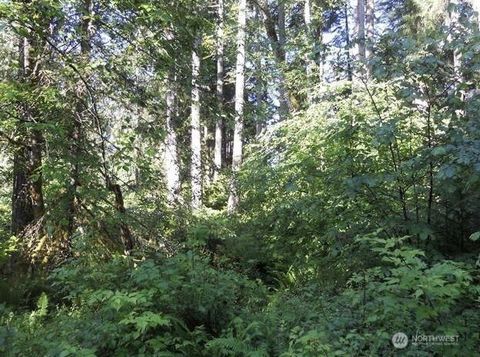 10608 Edgewood Drive Anderson Island WA 98303