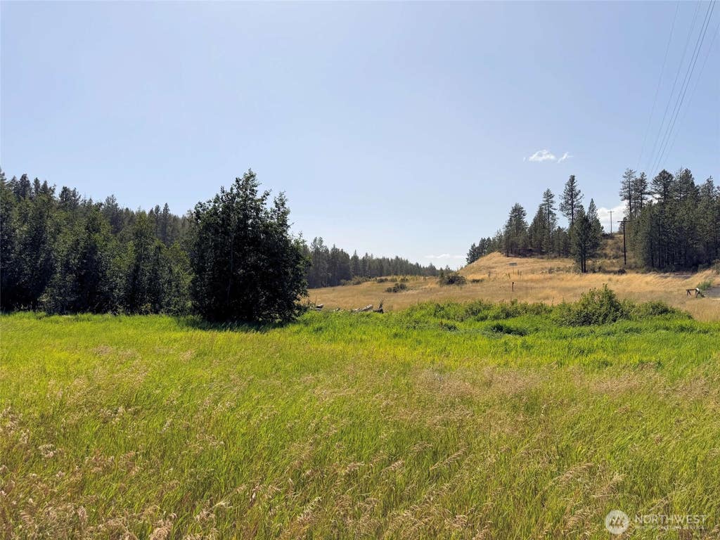 Photo of 0 Miles/Creston Road E, Creston, WA 99117 (MLS # 2563496)