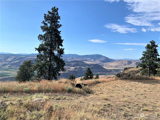 100 PINE BLUFFS LN, WATERVILLE, WA 98858 - Image 4f2e69d61bc73d86bd1b68f3dcded1fd/2320789818