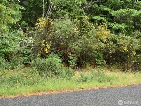 10921 Pioneer Drive Anderson Island WA 98303