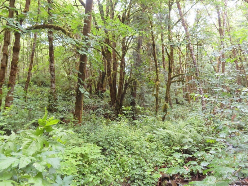 0 Sylvan Way