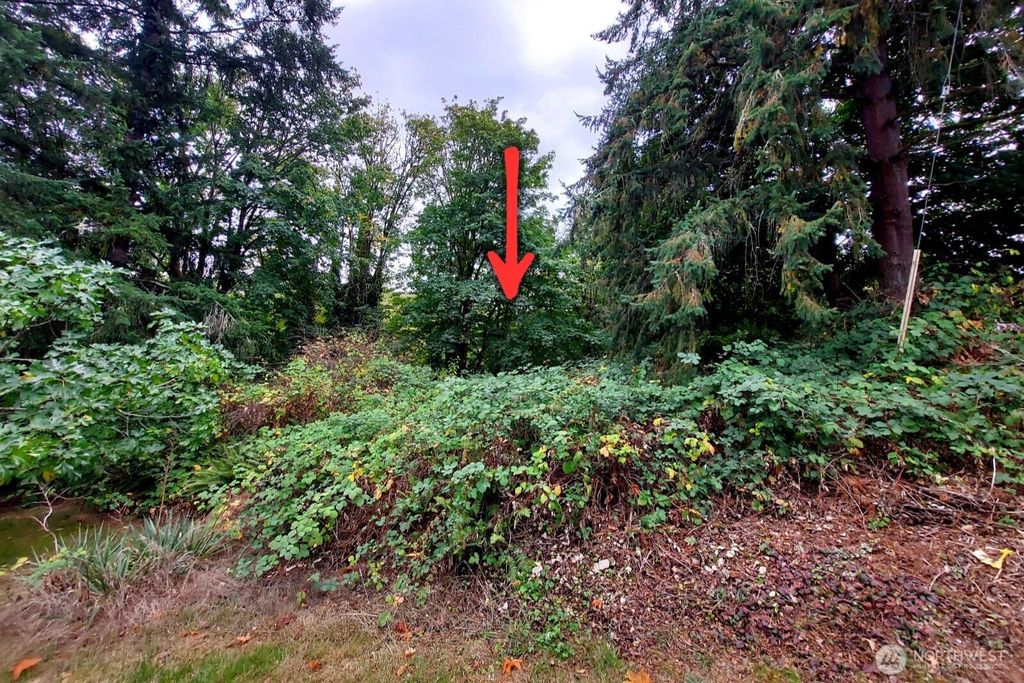 Photo of 0 Lot C Melcher St, Port Orchard, WA 98366 (MLS # 2477674)