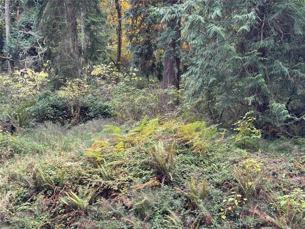 Photo of 12173 SW Cedarhurst Road, Vashon, WA 98070 (MLS # 2596316)