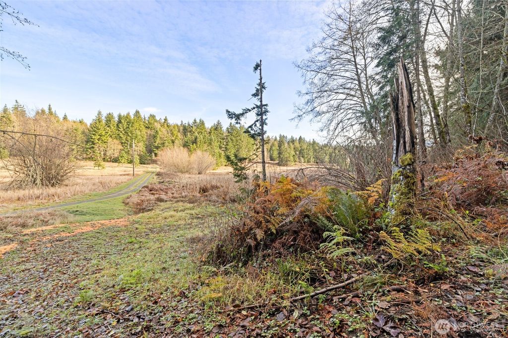 Photo of 0 NKA Lost Mountain Road, Sequim, WA 98382 (MLS # 2470940)