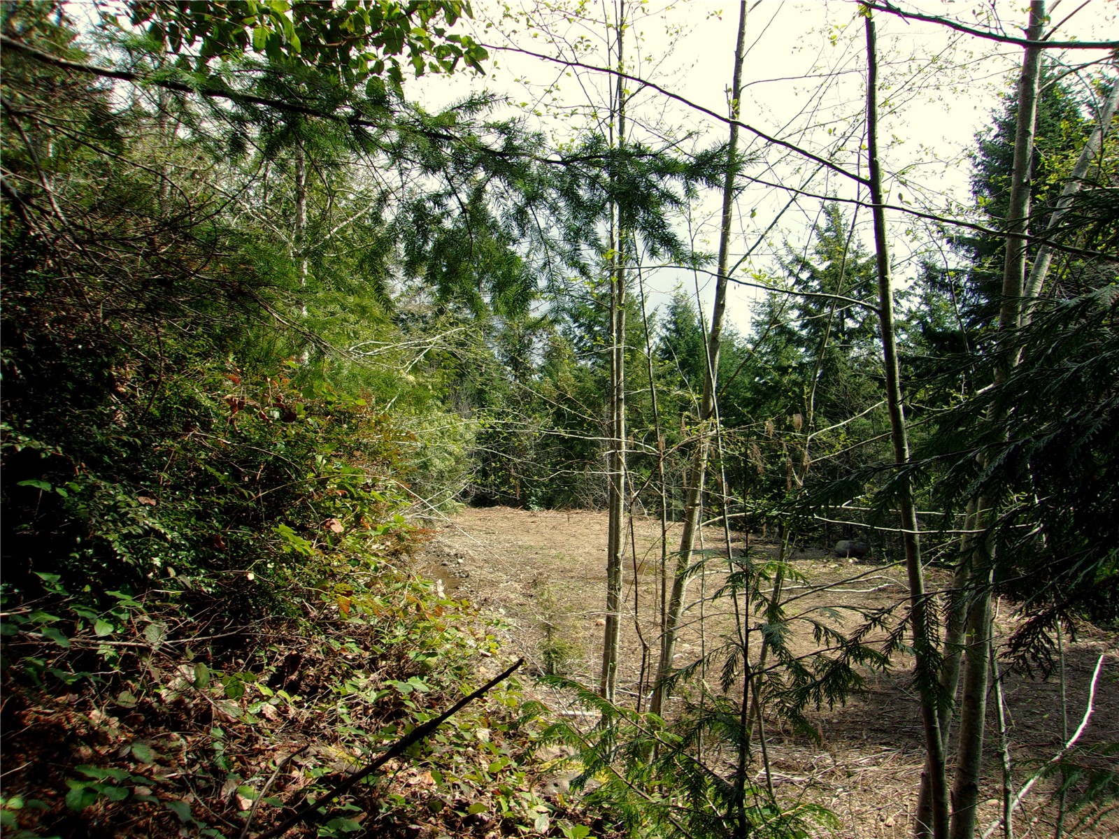 0 Madrona Ridge Drive