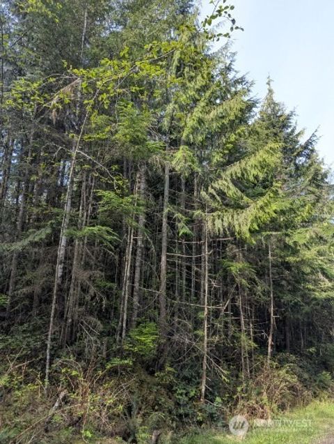 9999 Lone Tree Drive Sequim WA 98382