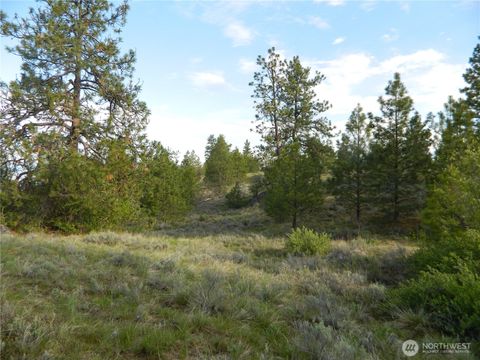 Photo of 0 TBD Rehmke Road, Tonasket, WA 98855 (MLS # 2511690)