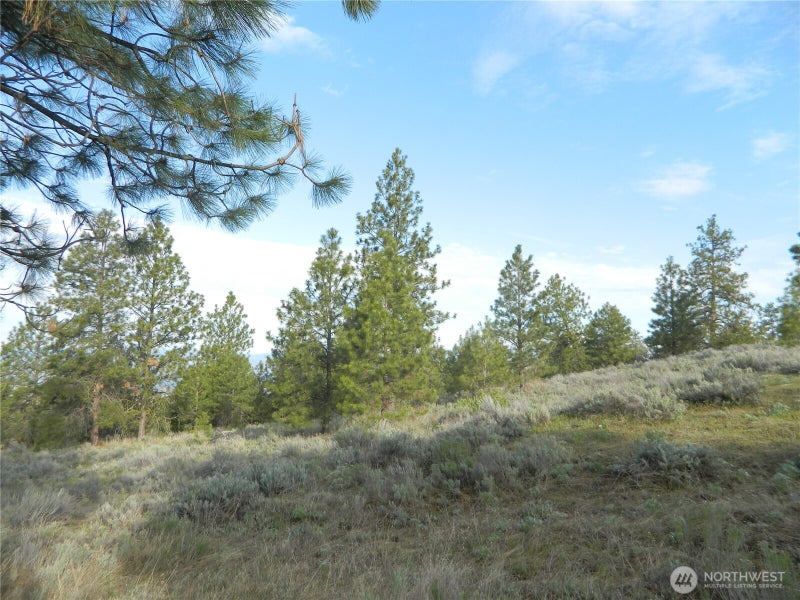 0 TBD Rehmke Road