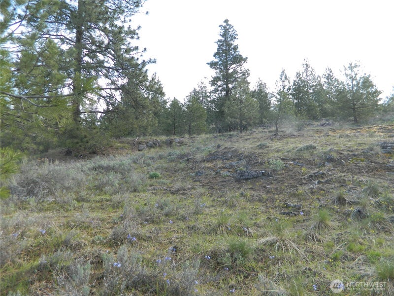 0 TBD Rehmke Road