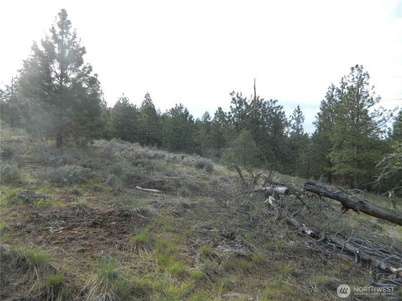 0 TBD Rehmke Road